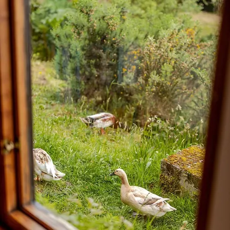 Semesterbostad Serene Bantry Bay Retreat