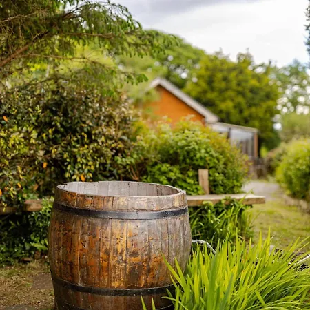 Serene Bantry Bay Retreat Semesterbostad *