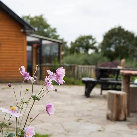 Semesterbostad Serene Bantry Bay Retreat