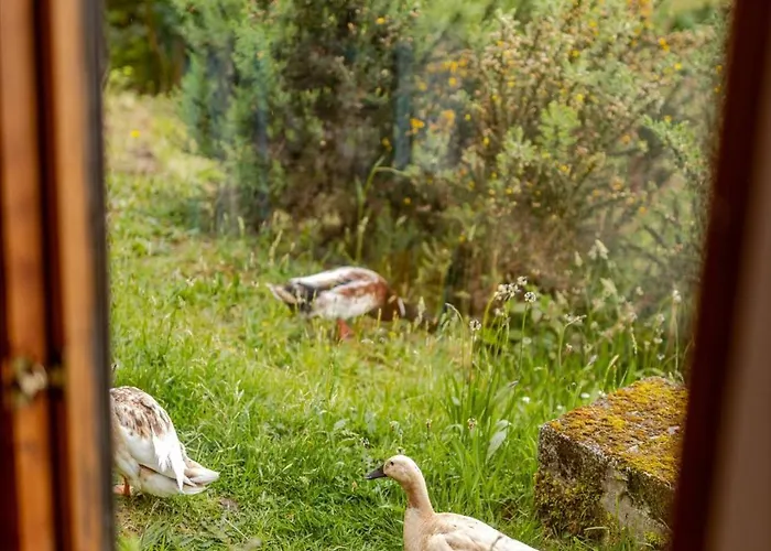 Dom wakacyjny Serene Bantry Bay Retreat